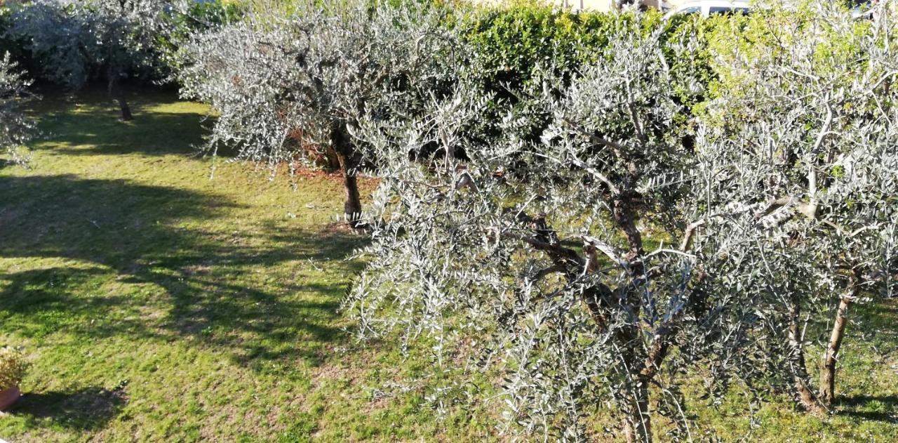 Il Melograno Acomodação com café da manhã Garda  Exterior foto